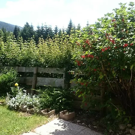 Volenter Gastehaus Guest house Mitterbach