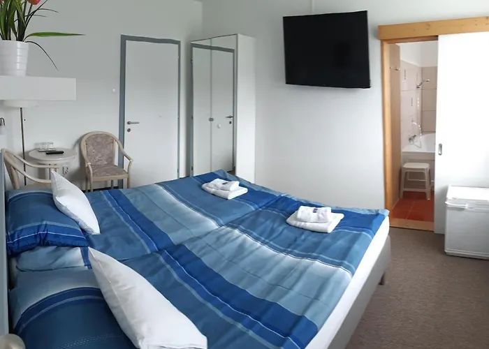 Volenter Gastehaus Guest house