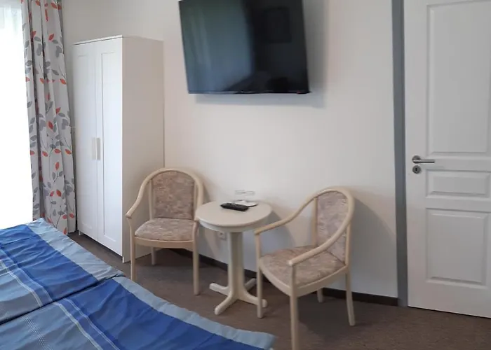 Volenter Gastehaus 3*