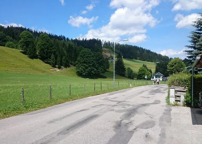 Volenter Gastehaus 3*