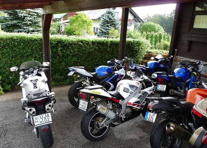 Guest house Volenter Gastehaus 3*