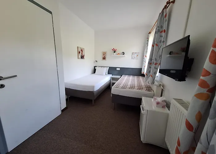 Volenter Gastehaus 3*