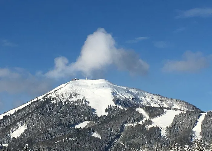 Guest house Volenter Gastehaus Mitterbach