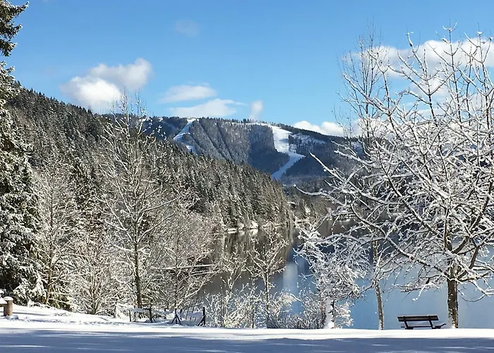 Volenter Gastehaus 3* Mitterbach