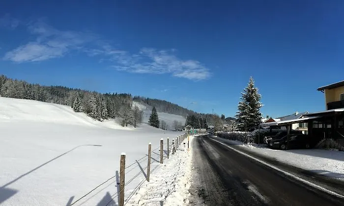 Volenter Gastehaus 3*